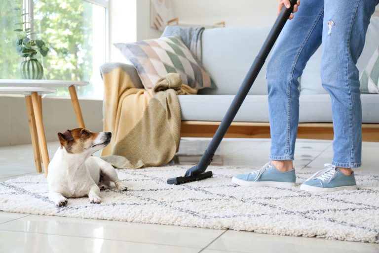 A woman gently cleans a dog's fur on a rug, promoting safe and effective chemical-free carpet cleaning.